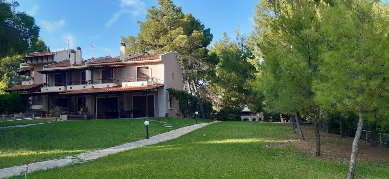 Sithonia Alekos Luxury Experience Leilighet Metamórfosi Eksteriør bilde